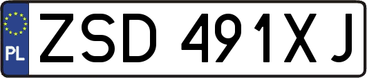 ZSD491XJ