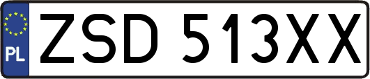 ZSD513XX