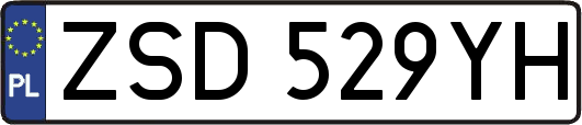 ZSD529YH