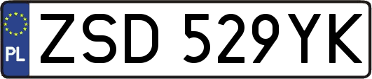 ZSD529YK