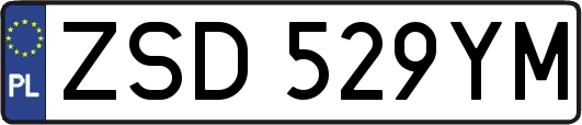 ZSD529YM