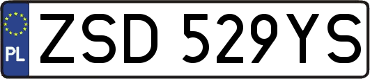 ZSD529YS