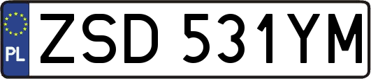 ZSD531YM
