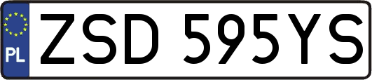 ZSD595YS