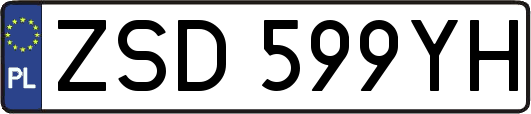 ZSD599YH