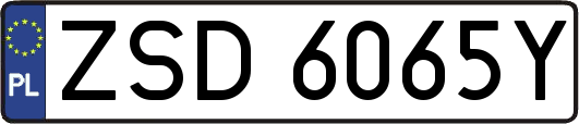 ZSD6065Y