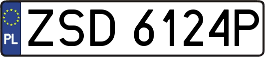 ZSD6124P