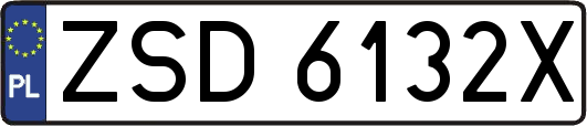 ZSD6132X
