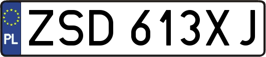 ZSD613XJ