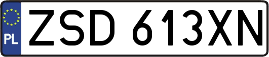 ZSD613XN