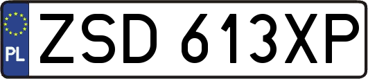 ZSD613XP