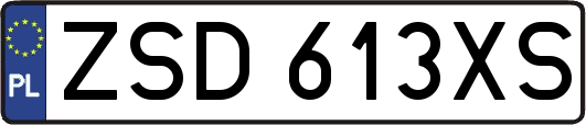 ZSD613XS