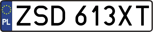 ZSD613XT