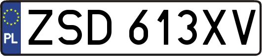 ZSD613XV