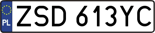 ZSD613YC