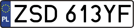 ZSD613YF
