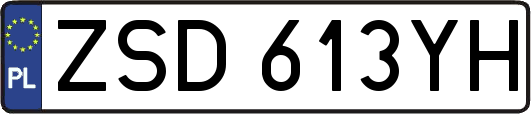 ZSD613YH