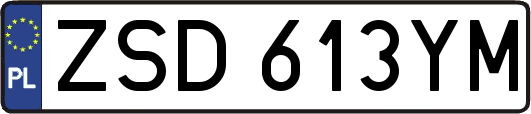 ZSD613YM