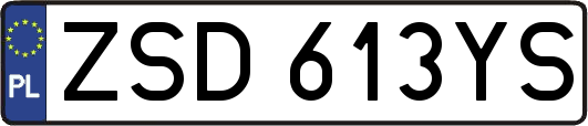 ZSD613YS