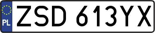 ZSD613YX