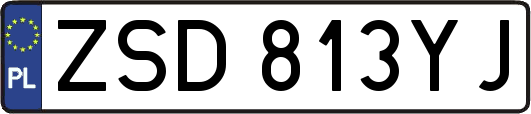ZSD813YJ