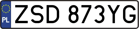 ZSD873YG