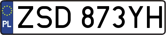 ZSD873YH