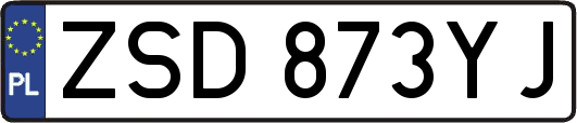 ZSD873YJ