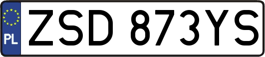ZSD873YS
