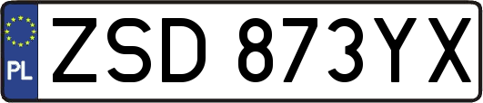 ZSD873YX