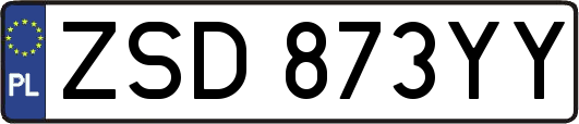 ZSD873YY