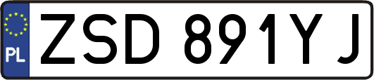 ZSD891YJ