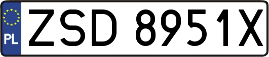 ZSD8951X