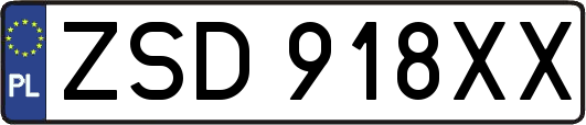 ZSD918XX