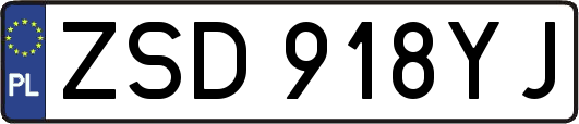 ZSD918YJ
