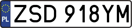 ZSD918YM