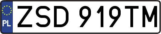 ZSD919TM