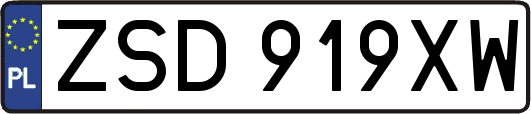 ZSD919XW