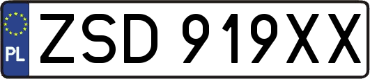 ZSD919XX