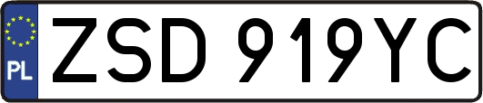 ZSD919YC