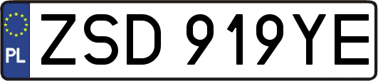 ZSD919YE