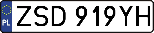 ZSD919YH