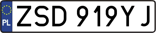 ZSD919YJ