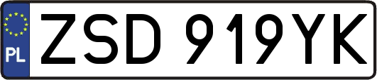 ZSD919YK
