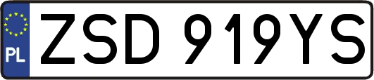 ZSD919YS