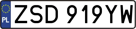 ZSD919YW