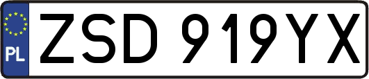 ZSD919YX