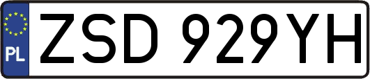 ZSD929YH
