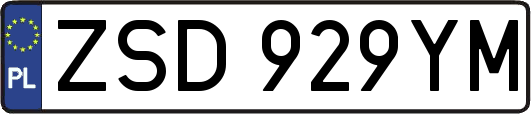 ZSD929YM