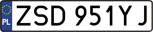 ZSD951YJ